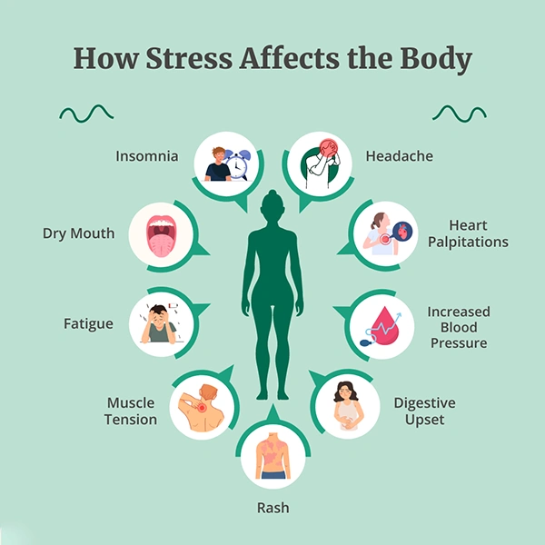 Impact Of Chronic Stress On Physical Well being