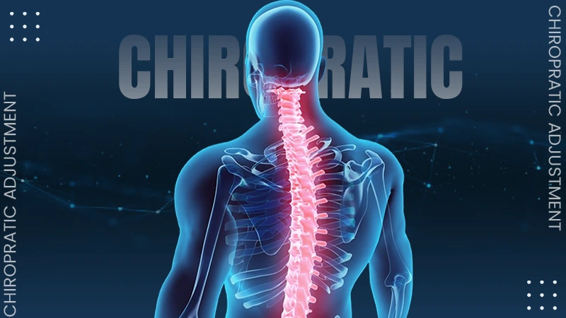 EXPLORING CHIROPRATIC ADJUSTMENT