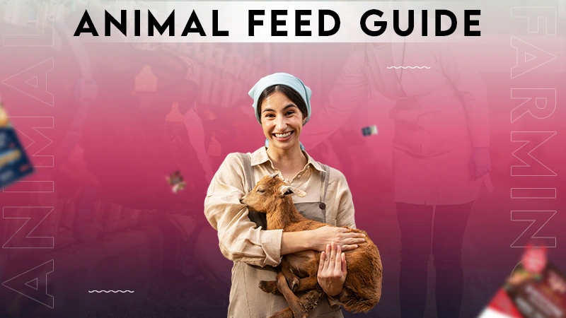 Animal fedd guide